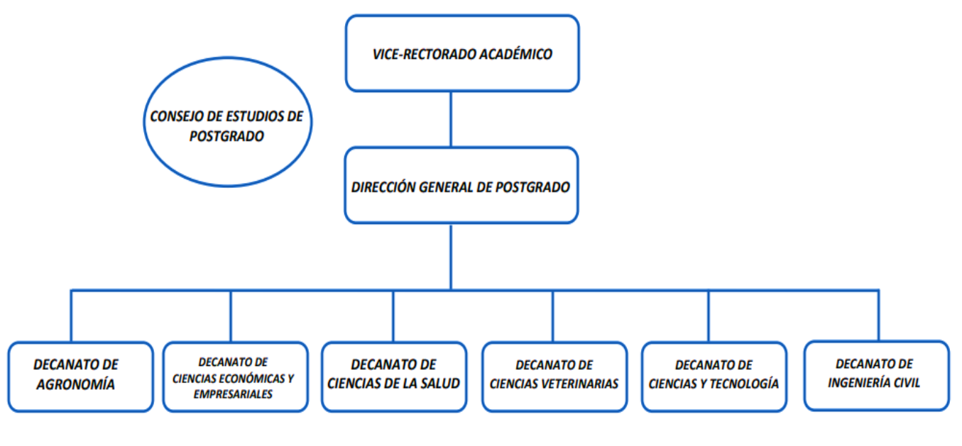 Estructura Organizativa de Postgrado